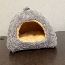Small Animal House