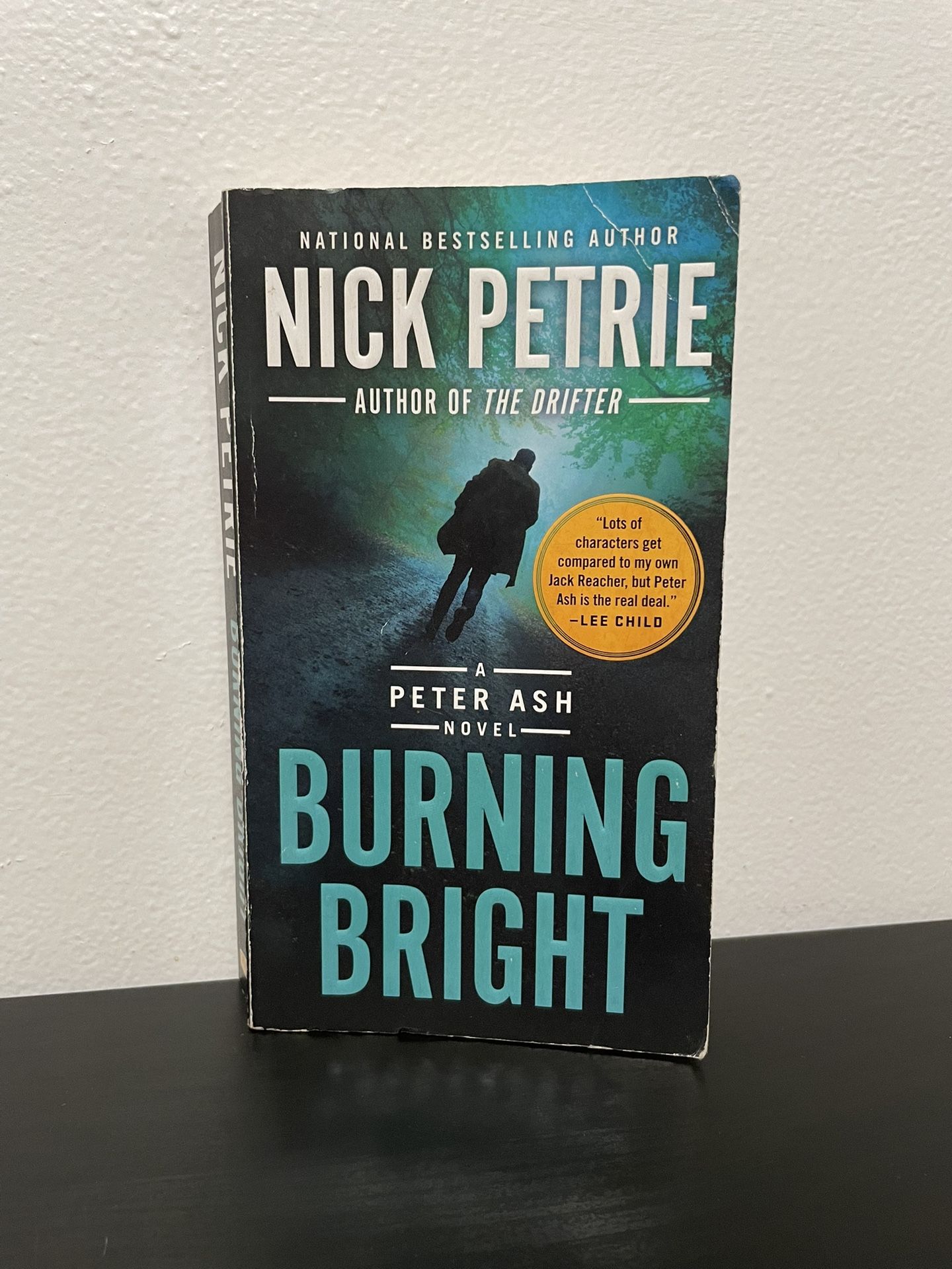 Burning Bright Nick Petrie Book Paperback Peter Ash Novel Military Mystery 2017