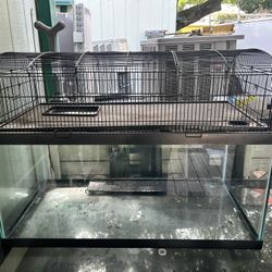 Lizard tank fish tank 