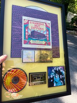 Squirrel Nut Zippers Hot Gold Record Award