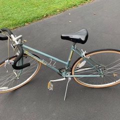 Schwinn World Sport 12 Speed