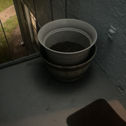 Big POTERY For Big Plants 