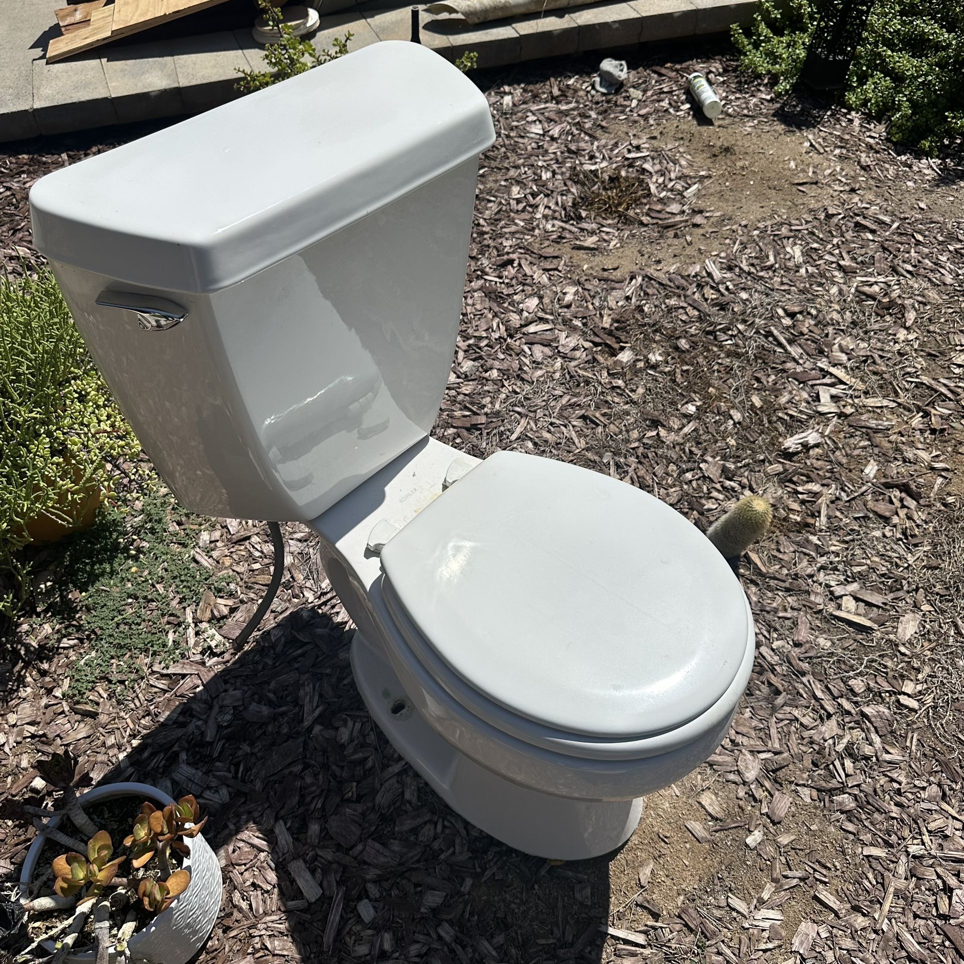 Small Size Toilet Kohler toilet with an elongated bowl