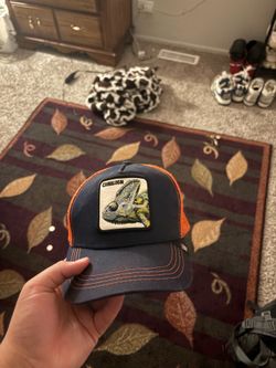 Chameleon Mexican hat