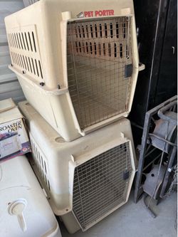 Large Dog Kennels