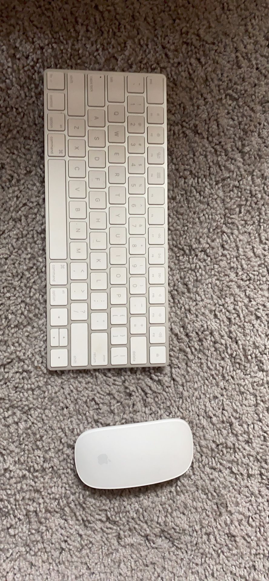 Apple wireless keyboard and Magic Mouse