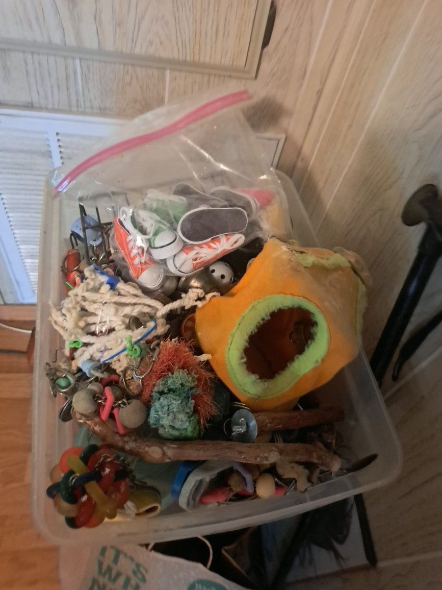 Bird's Supplies And Toys