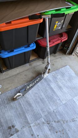 Adult Scooter