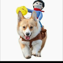 Cowboy Rider Dog Costume 