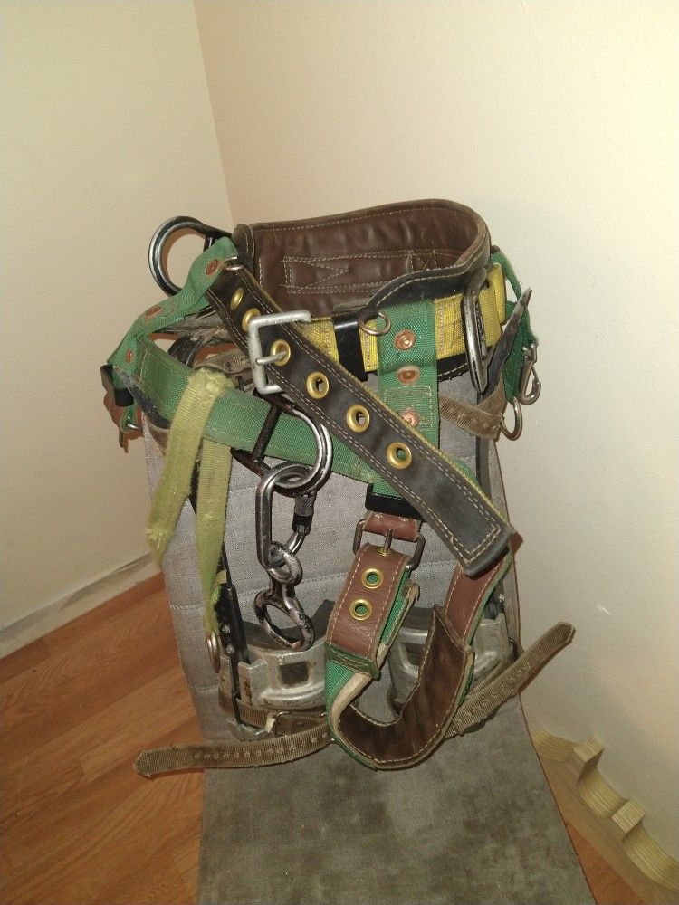 Buckingham Spurs Weaver Climbing Belt