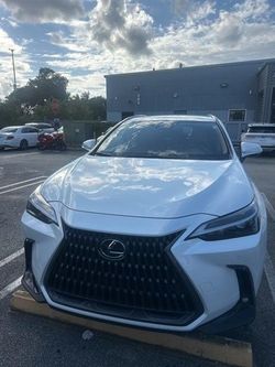 2025 Lexus NX 250