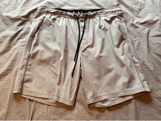 American Eagle Silver Shorts; Men’s L