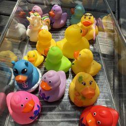 Box Of Rubber Ducks