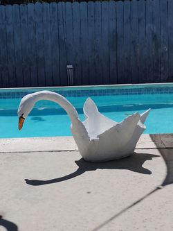 Swan flower pot 18" high