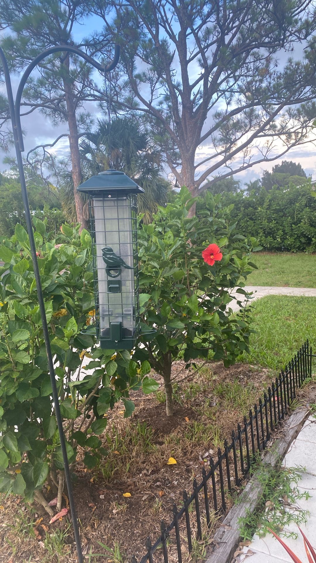 Squirrel Proof Bird Feeder