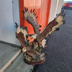 Eagle Decoration 