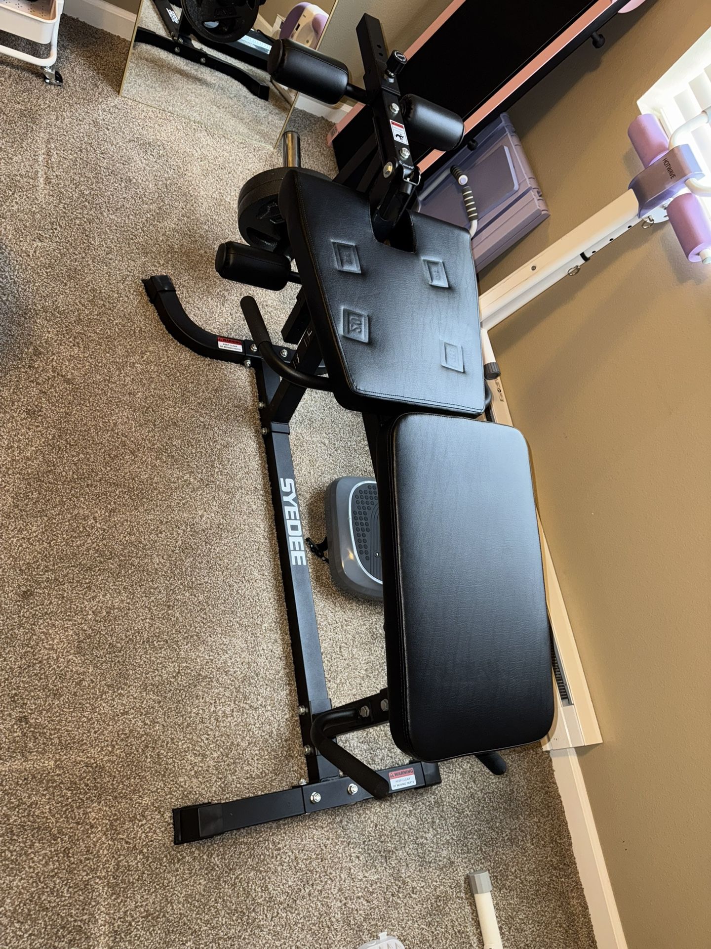 Leg Extension And Leg Curl Machine With Weights