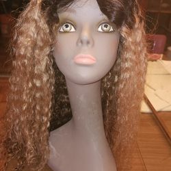 Ombre Colored Human Hair Wig