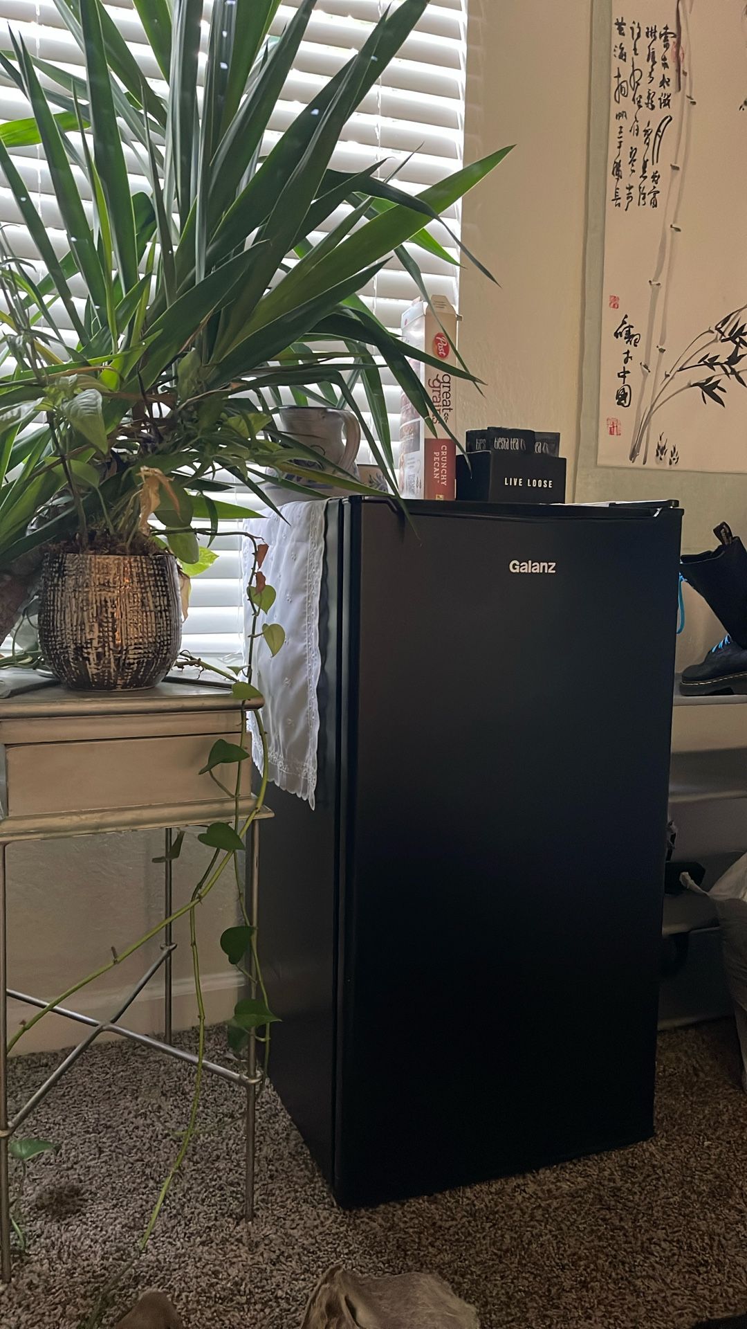 Mini Fridge + Freezer Compartment