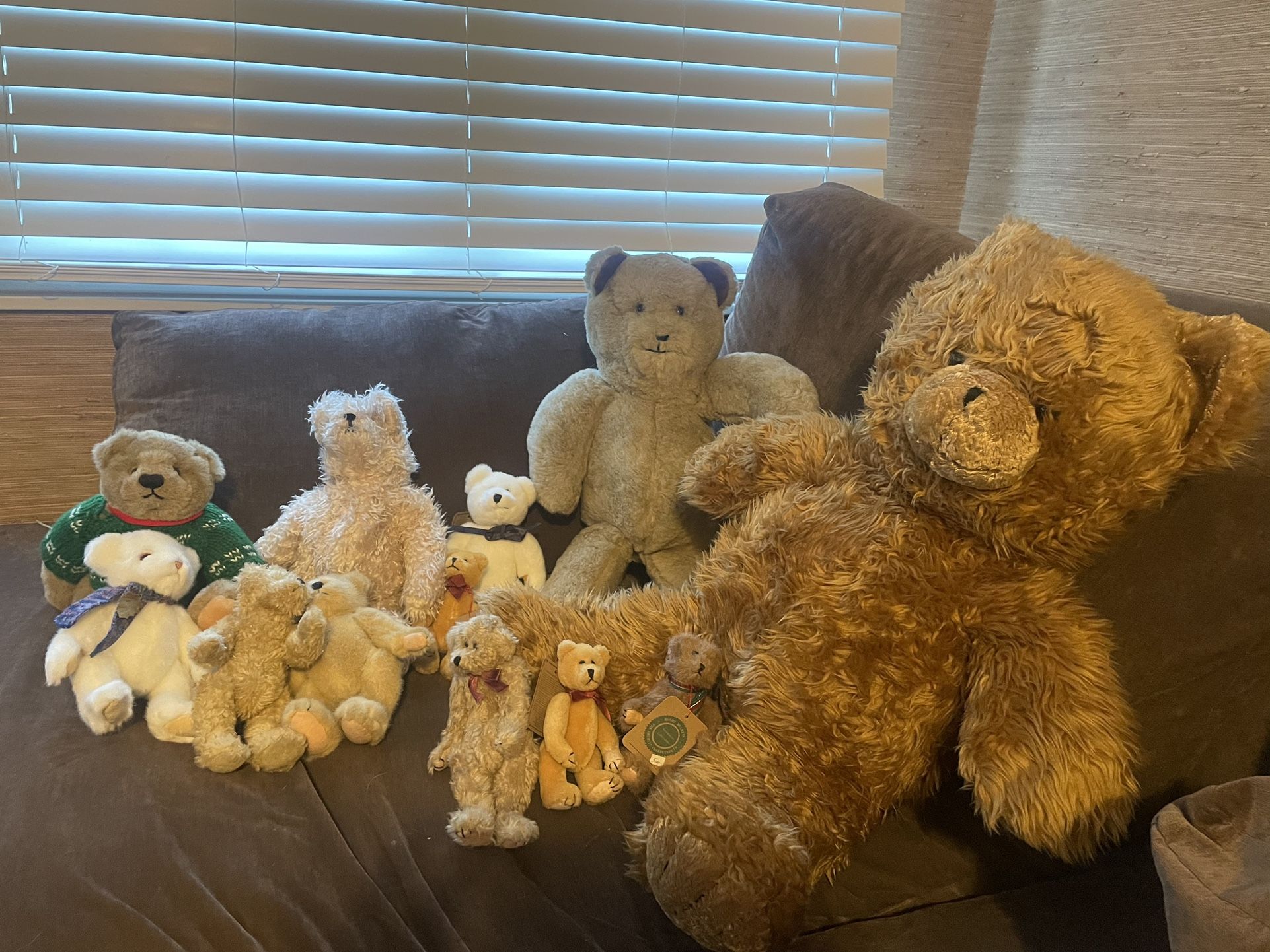 Teddy Bear Collection 