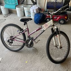 Schwinn Bike 24inch