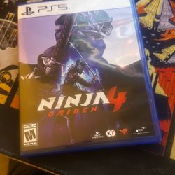 Ninja Gaiden 4