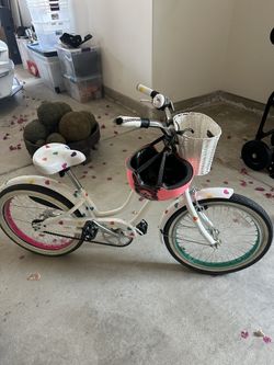 Beach Cruiser