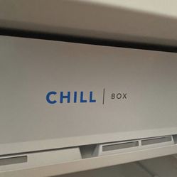 Mini Fridge