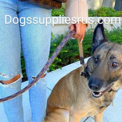 Designer Dog Collar and Leash Sets 9 Designs