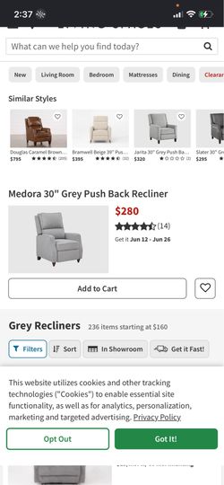 Gray Medora push back reclining chair