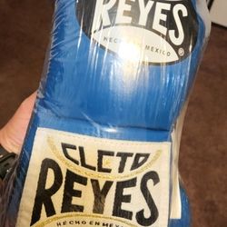 8oz Cleto Reys Boxing Gloves 