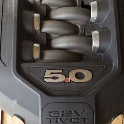 Mustang intake ..+++