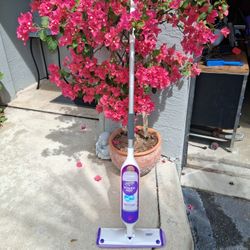 Multi-Surface Mop