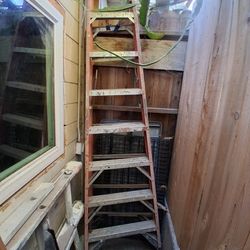 8 Foot Ladder 