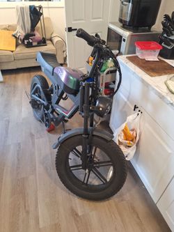 Electric bicycle