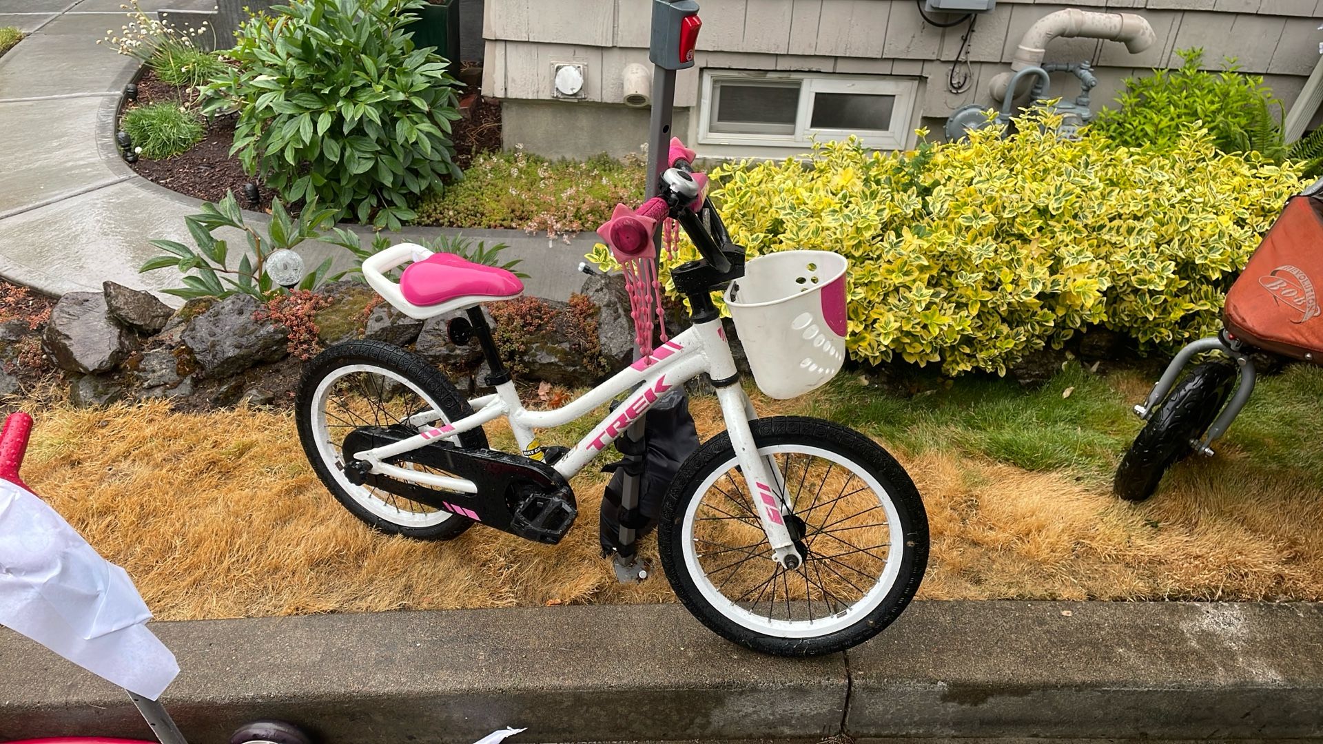 Trek Kids Bike