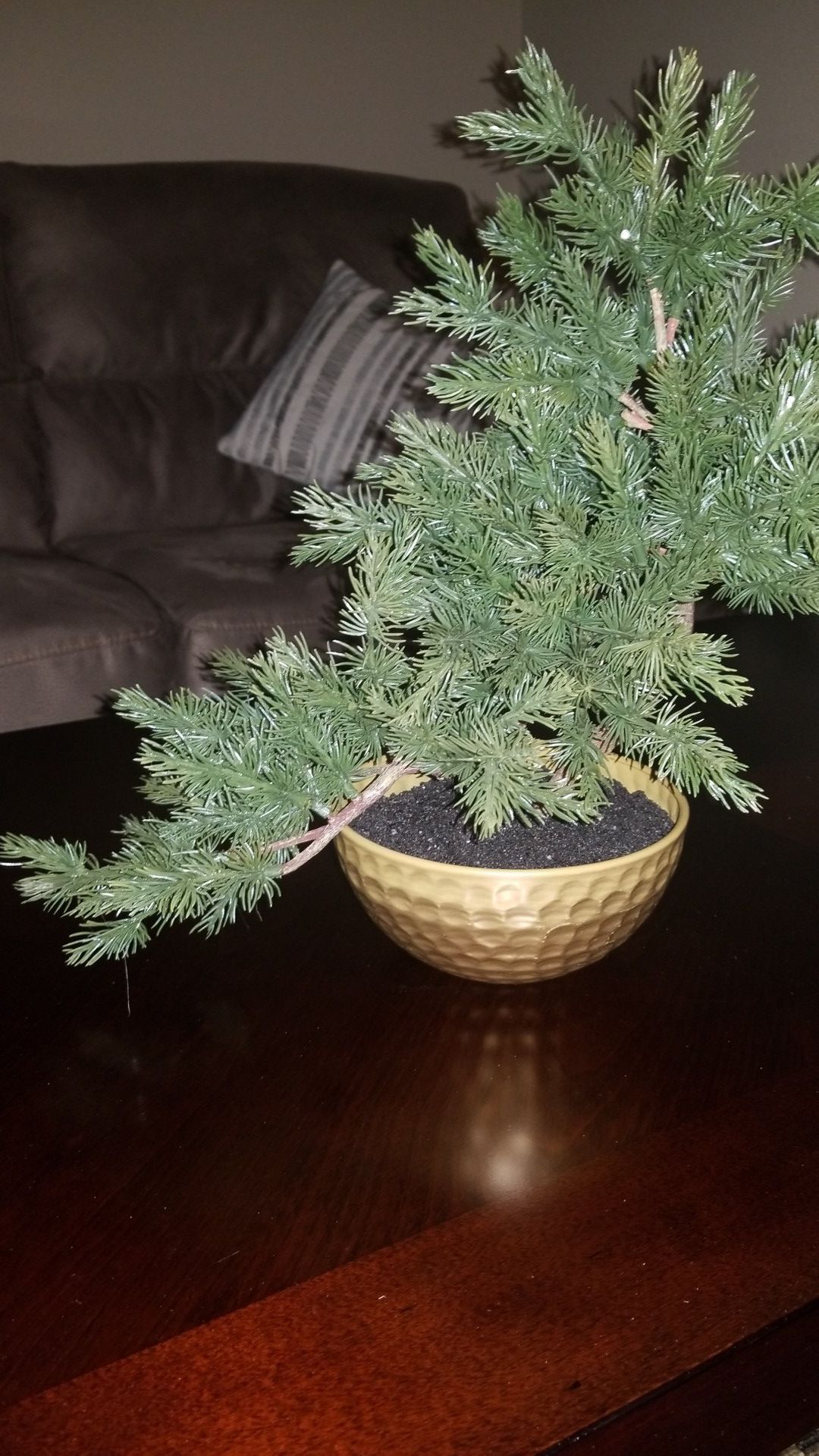 Fake bonsai plant (decor)
