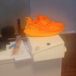 Brand New Curry 10 Young Wolf