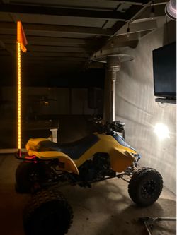 Quad lt250r