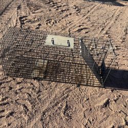 Small animal trap cage