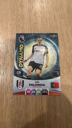Panini João Palhinha Dynamo Trading Card