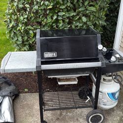Free Weber Grill