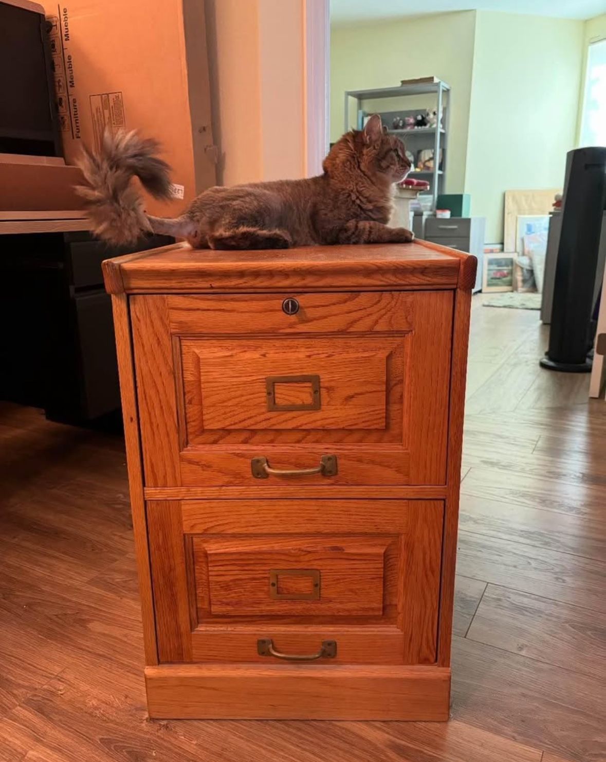Filing Cabinet