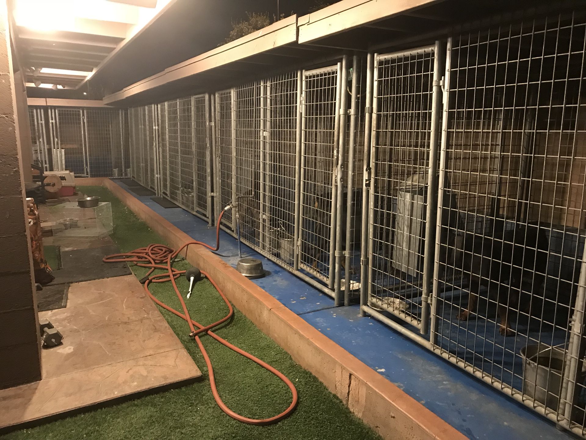 Every kennel is sold separately, 6 gauge, 6x10x5, comes with divider