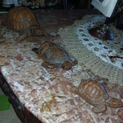Red Mill Mfg Tortoise Turtle 8 Inch Figure Hand Crafted Crushed Pecan Resin(3 pc) large,medium,small