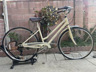 Beach Cruiser Schwin