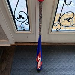 Little league Bat - Easton Speed -13