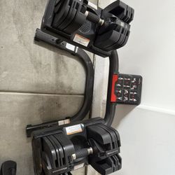Bowflex 60lb Dumbell + Bowflex Adjustable Bench