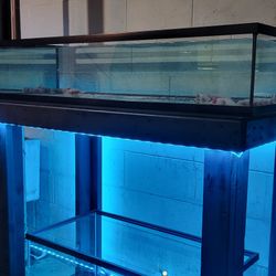 Custom Built Fish Tank Stands