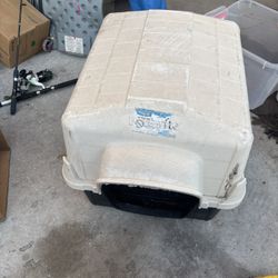 Dog House 